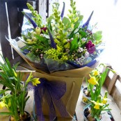 Wild bunch with eucalyptus